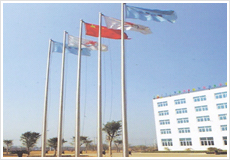 ���P����